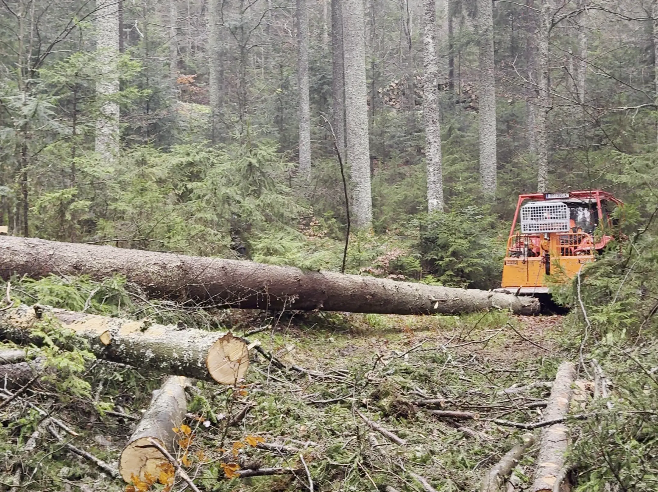 Steyr CVT 4140 beim Rücken